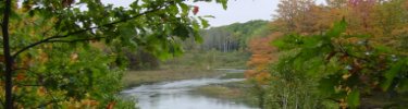 Photo of Manistee River